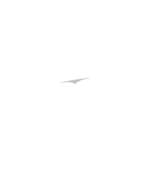 Lepoto